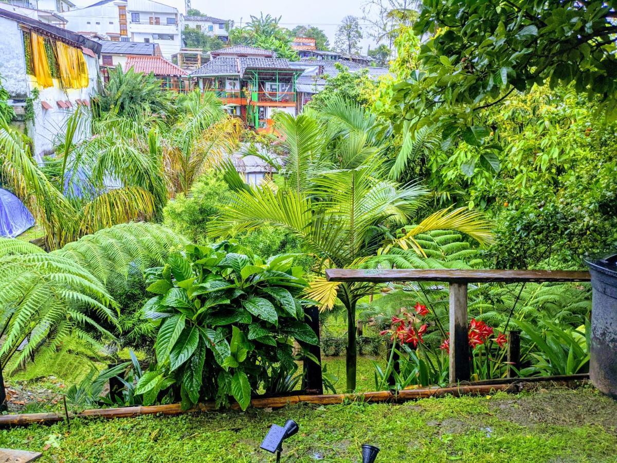 El Aguacate - Casa Tipica Cafetera Colombiana Chalet *