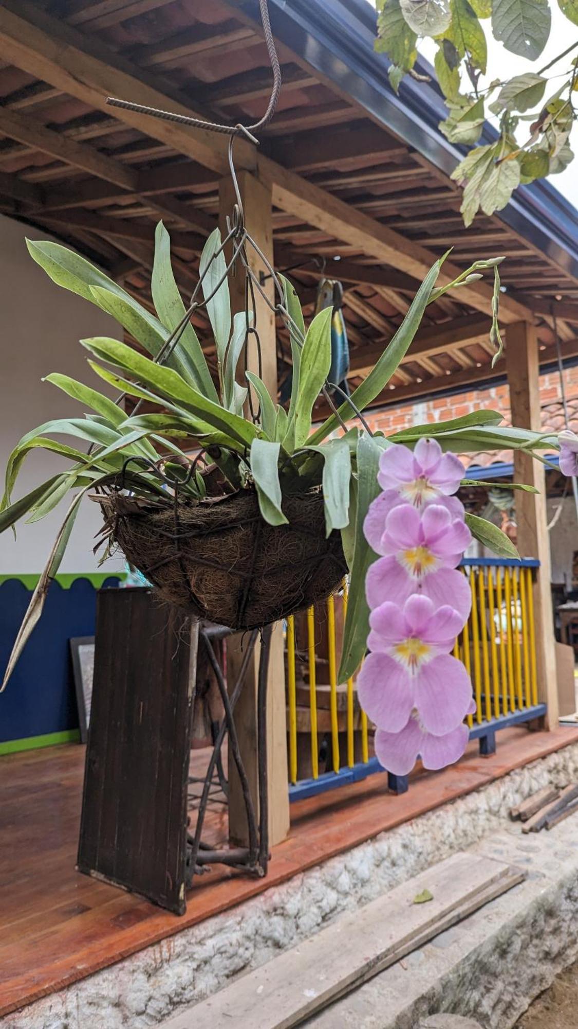 El Aguacate - Casa Tipica Cafetera Colombiana Chalet